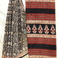 Bagru Kalamkari Floral Jaal Off Black Base With Red Flower Border Block Print Saree